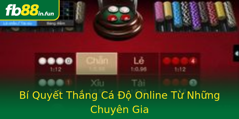 Bí Quyết Thắng Cá Độ Online Từ Những Chuyên Gia Bí Quyết Thắng Cá Độ Online Từ Những Chuyên Gia