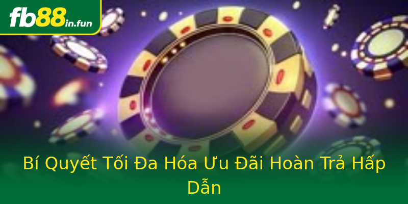 Bí Quyết Tối Đa Hóa Ưu Đãi Hoàn Trả Hấp Dẫn Bí Quyết Tối Đa Hóa Ưu Đãi Hoàn Trả Hấp Dẫn