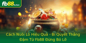 Cach Nuoi Lo Hieu Qua Bi Quyet Thang Am Tu Fb88 Ung Bo Lo