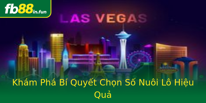 Khám Phá Bí Quyết Chọn Số Nuôi Lô Hiệu Quả Khám Phá Bí Quyết Chọn Số Nuôi Lô Hiệu Quả
