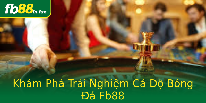 Khám Phá Trải Nghiệm Cá Độ Bóng Đá Fb88 Khám Phá Trải Nghiệm Cá Độ Bóng Đá Fb88