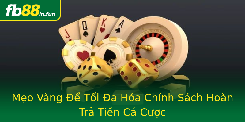 Mẹo Vàng Để Tối Đa Hóa Chính Sách Hoàn Trả Tiền Cá Cược Mẹo Vàng Để Tối Đa Hóa Chính Sách Hoàn Trả Tiền Cá Cược