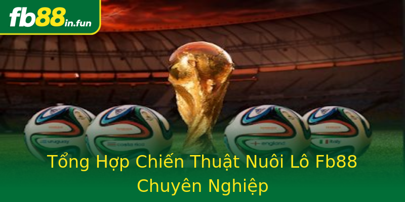 Tổng Hợp Chiến Thuật Nuôi Lô Fb88 Chuyên Nghiệp Tổng Hợp Chiến Thuật Nuôi Lô Fb88 Chuyên Nghiệp