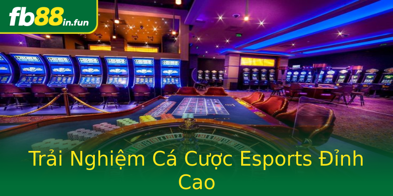 Trải Nghiệm Cá Cược Esports Đỉnh Cao Trải Nghiệm Cá Cược Esports Đỉnh Cao